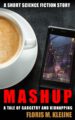 Mashup (ebook)